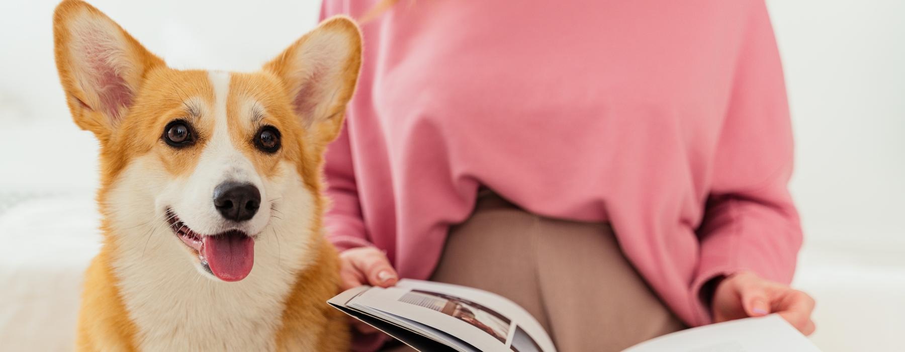 a dog sitting next to a woman who is reading a book
